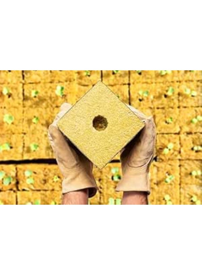 من ميريديان مكعبات زراعة من الصوف الصخري، 4 انش، عبوة من 6 قطع، للزراعة المائية وتكاثر النباتات - Image 1